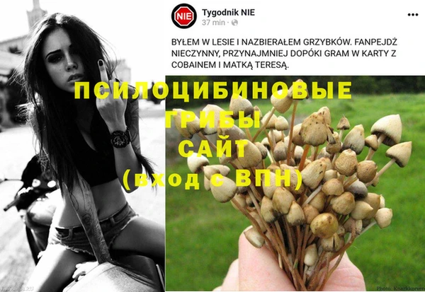 таблы Горняк