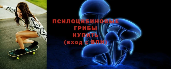 MESCALINE Горно-Алтайск