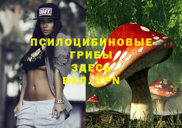 герыч Горнозаводск