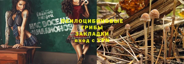 таблы Горняк