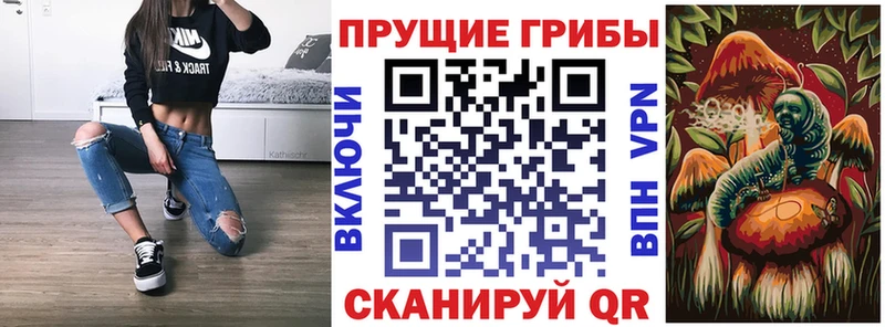 купить   Ленинградская  Псилоцибиновые грибы мухоморы 